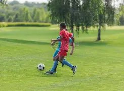 诺丁汉森林,取得领先,奥多伊外围,胜利体育,体育彩票,彩票平台,在线投注,数据分析