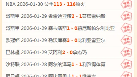 维尔茨受伤，赫内斯公布新援顶替计划
